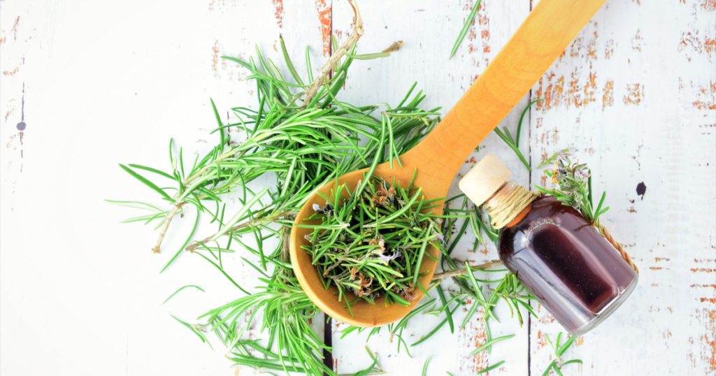 Homemade Rosemary Oil for Hair Growth